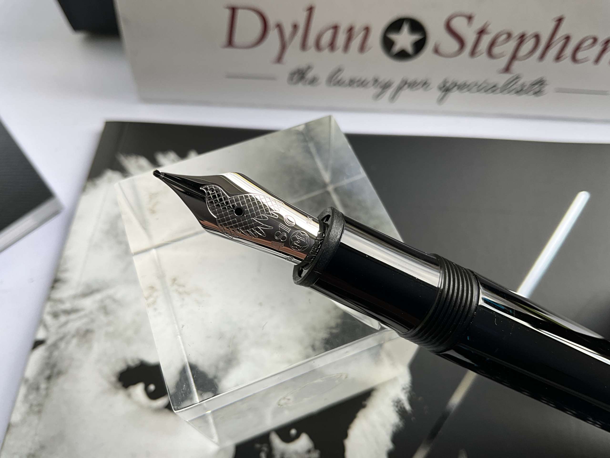 Montblanc Meisterstuck Arturo Toscanini Donation Special Edition Fountain Pen - Image 2